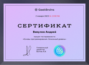 Основы программирования (начальный уровень)